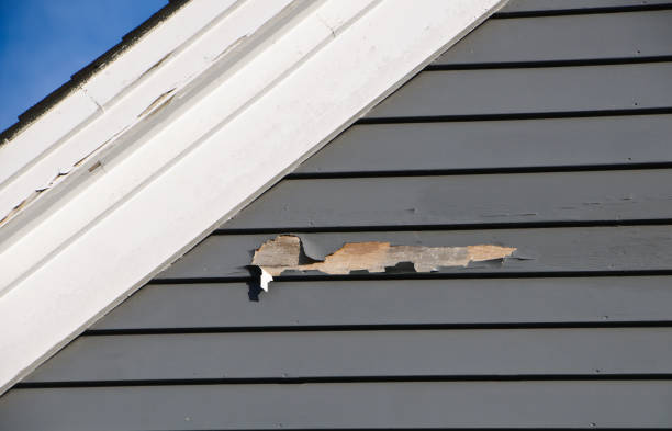 How To Choose The Right Materials for Your Siding Installation in 'Moundville, AL